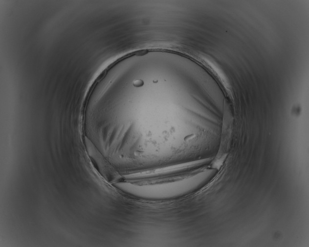 X0000095511340200801041151