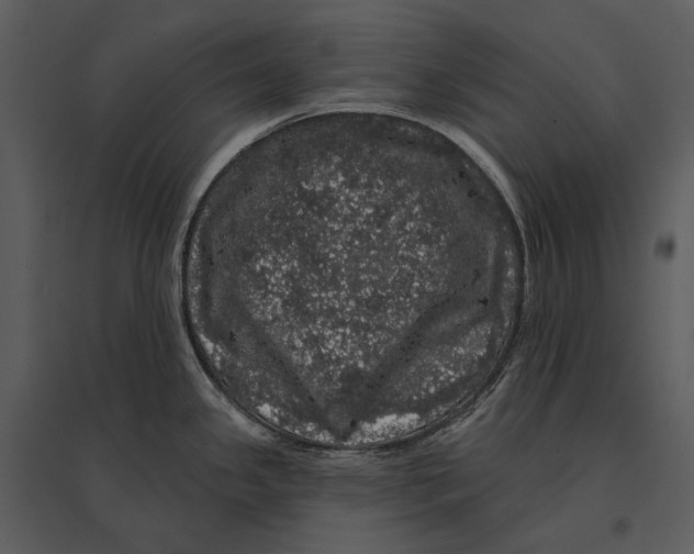 X0000095511341200801041151