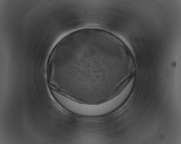 X0000095511342200801041151