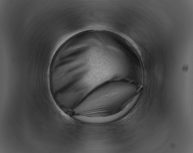 X0000095511343200801041151