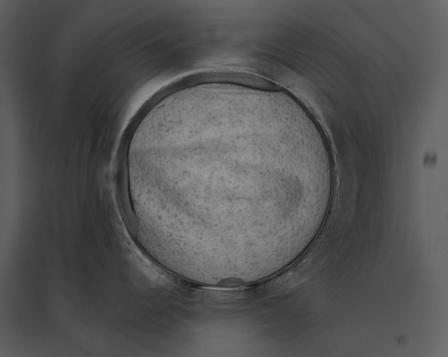 X0000095511344200801041151