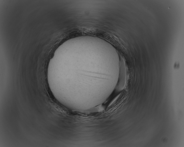X0000095511345200801041150