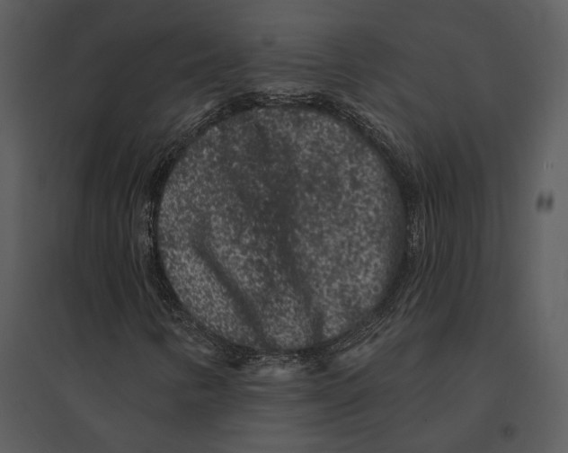 X0000095511346200801041150