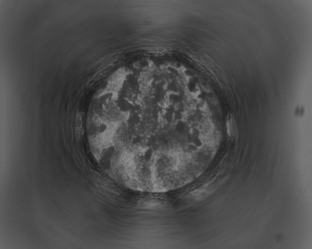 X0000095511347200801041150