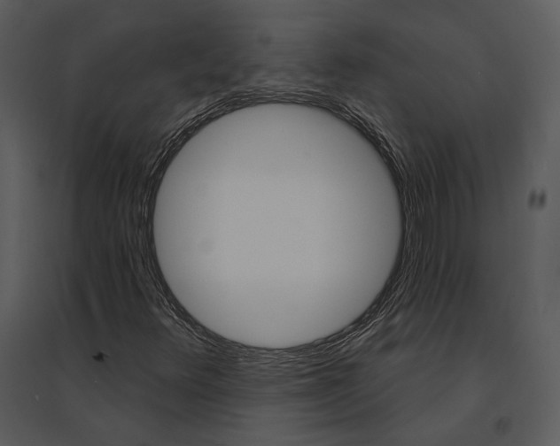 X0000095511348200801041150