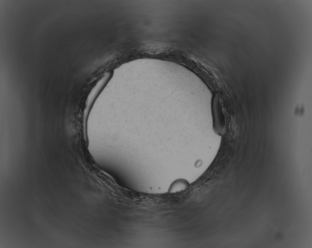X0000095511349200801041150