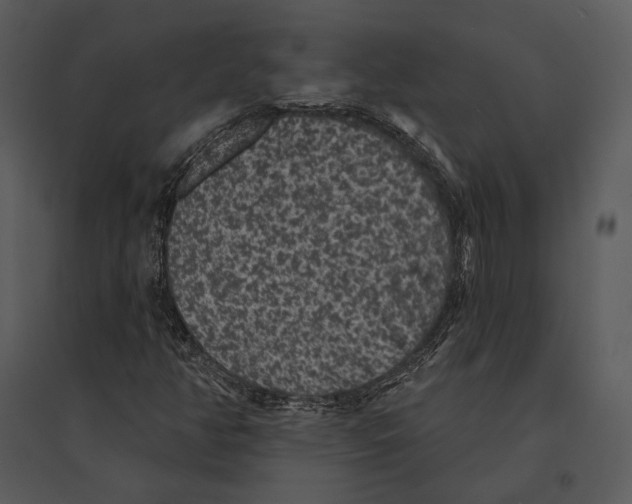 X0000095511350200801041150