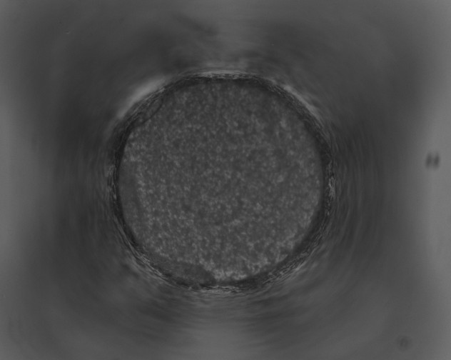 X0000095511351200801041150