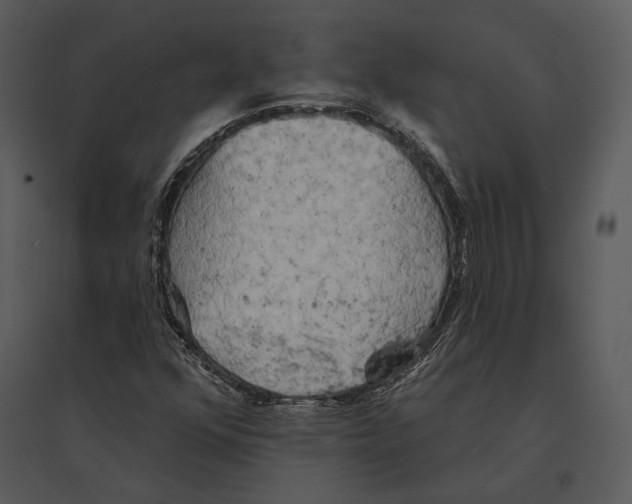 X0000095511352200801041150