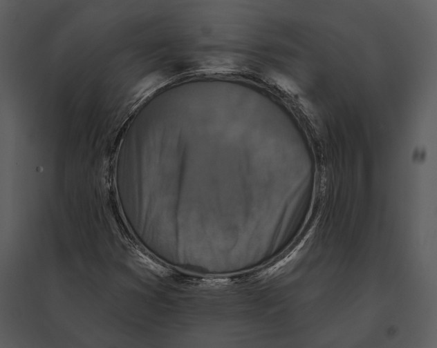 X0000095511353200801041150