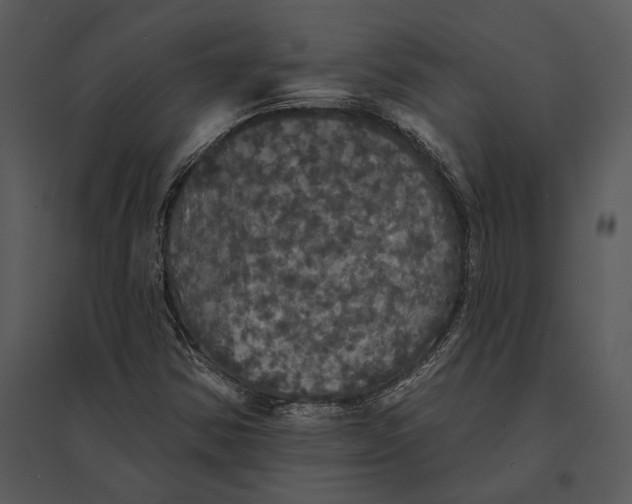 X0000095511354200801041150