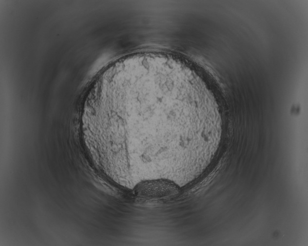 X0000095511355200801041150