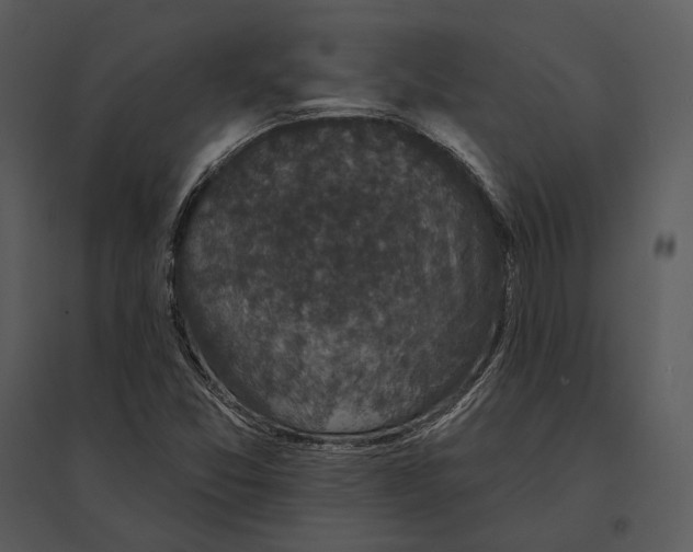 X0000095511357200801041150