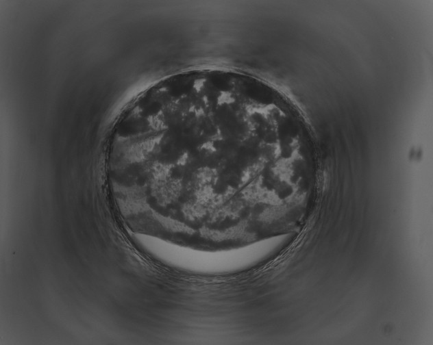 X0000095511359200801041150