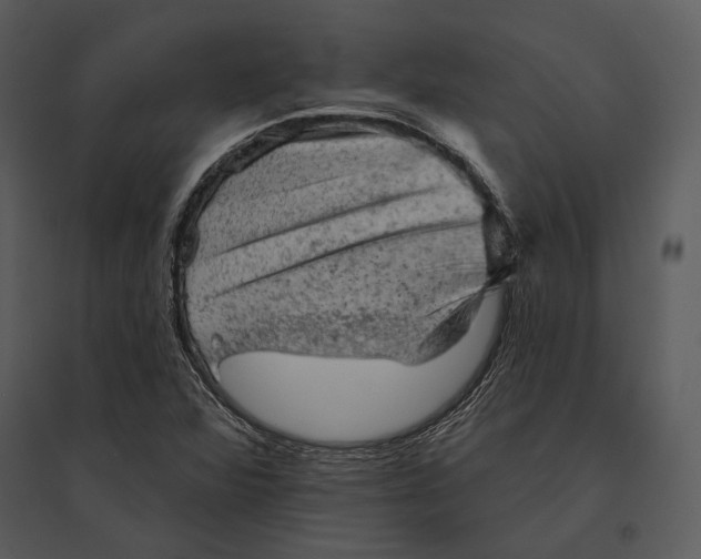 X0000095511360200801041150