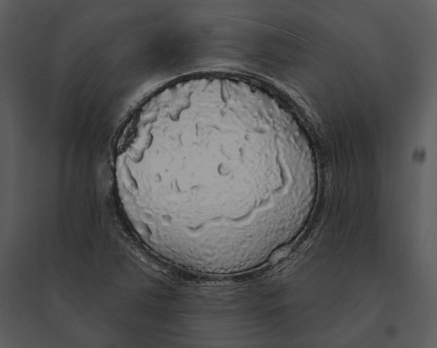 X0000095511363200801041150