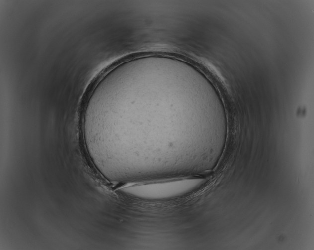 X0000095511364200801041150