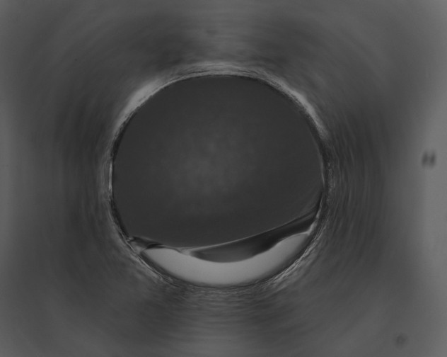 X0000095511365200801041150