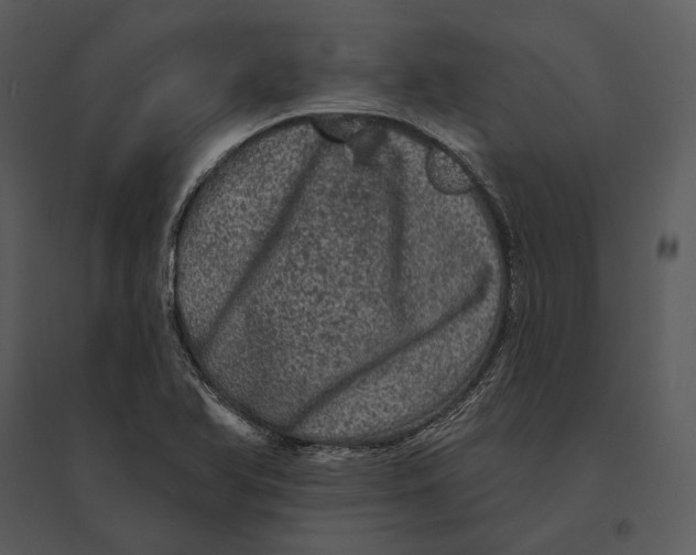 X0000095511366200801041150