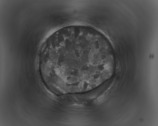 X0000095511367200801041150