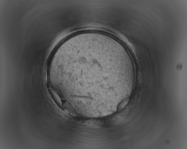 X0000095511368200801041150