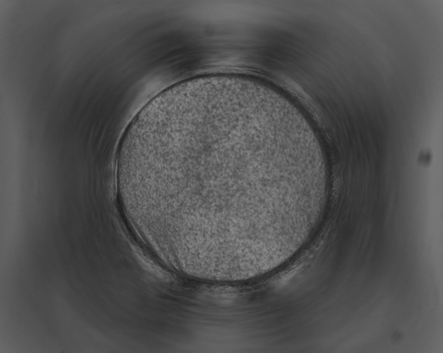 X0000095511370200801041150