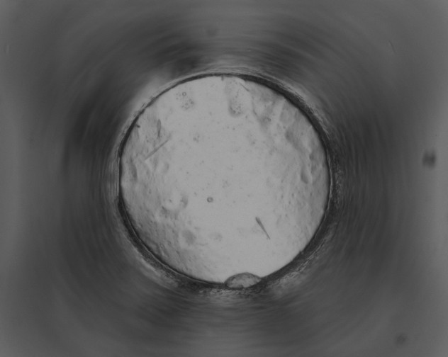 X0000095511371200801041150