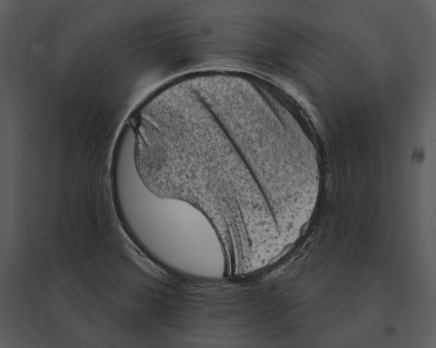 X0000095511372200801041150