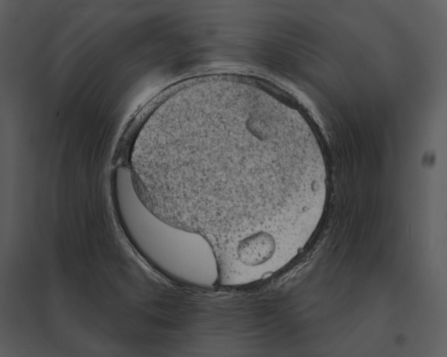 X0000095511373200801041150