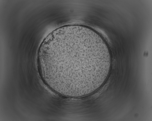 X0000095511374200801041150