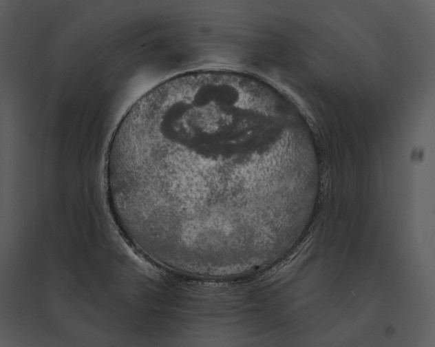 X0000095511375200801041150