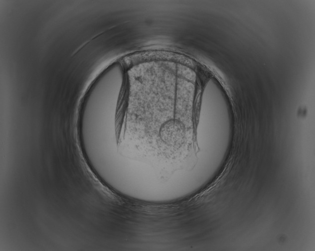 X0000095511376200801041150