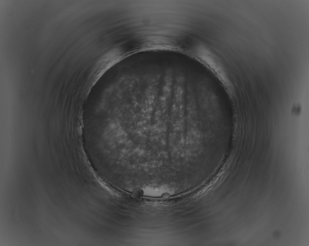 X0000095511377200801041150