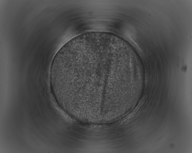 X0000095511378200801041150