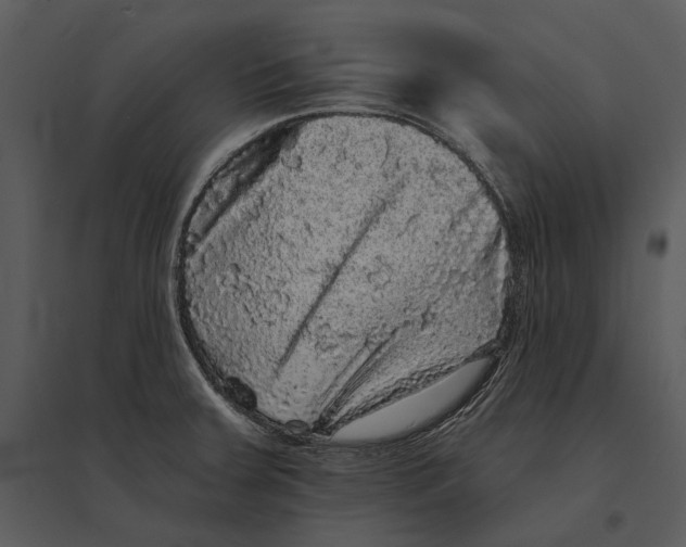 X0000095511379200801041150
