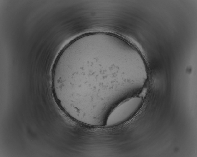X0000095511380200801041150