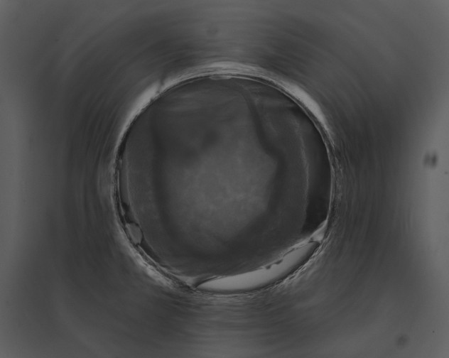 X0000095511381200801041150