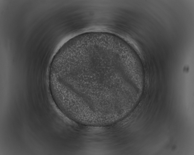 X0000095511382200801041150