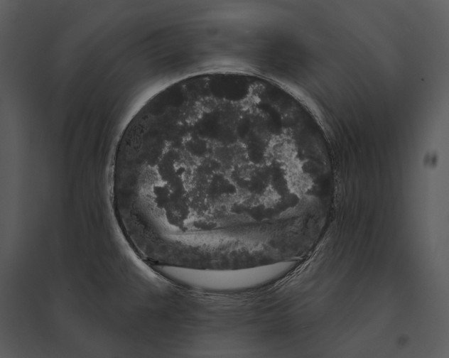 X0000095511383200801041150