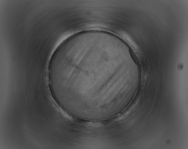X0000095511384200801041150