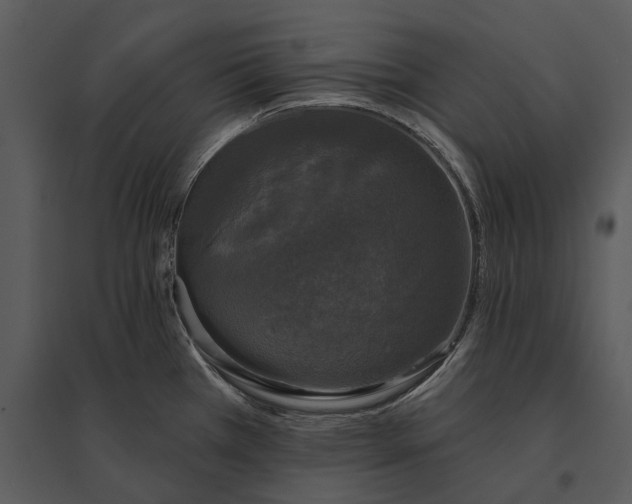 X0000095511385200801041150