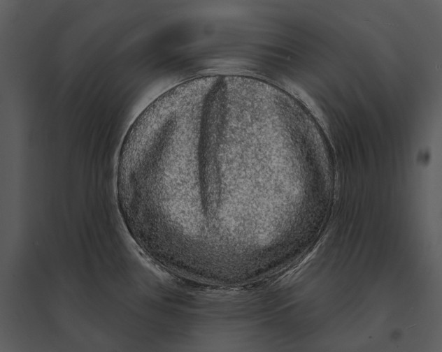 X0000095511386200801041150