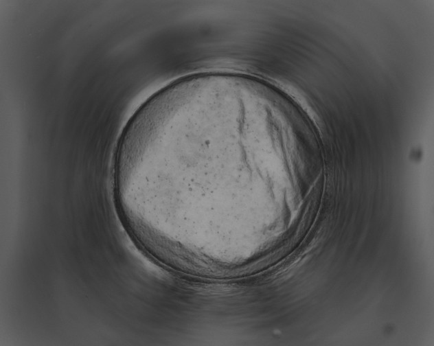 X0000095511387200801041150