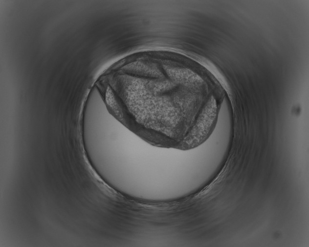 X0000095511388200801041150