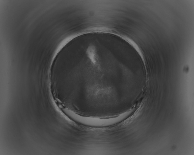 X0000095511389200801041150