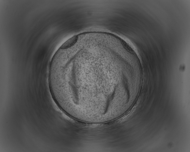 X0000095511390200801041150