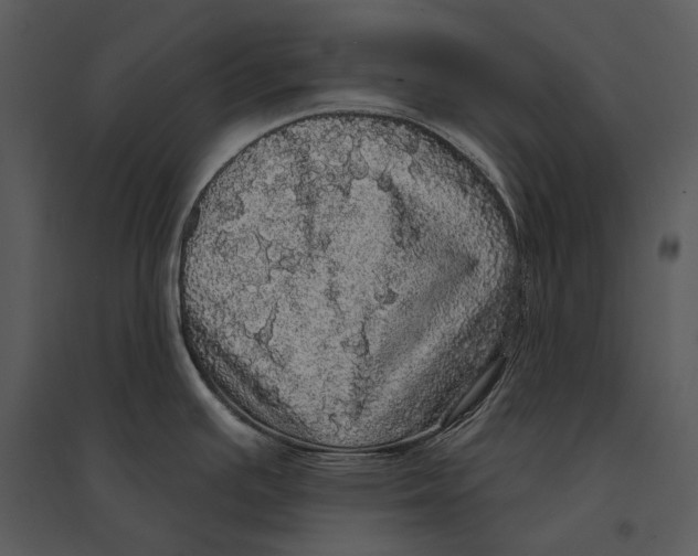 X0000095511391200801041150