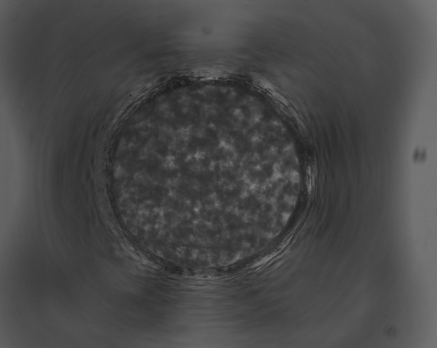 X0000095511393200801041149