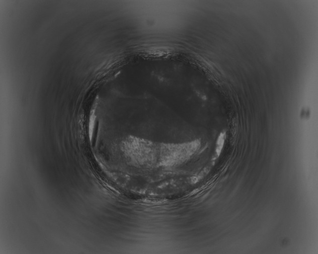 X0000095511394200801041149