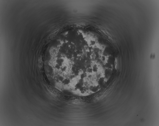 X0000095511395200801041149